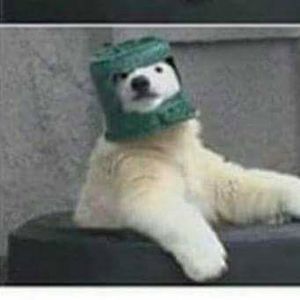 Meet your Posher, Jon